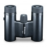 Vanguard Vesta Compact 8x21 WP