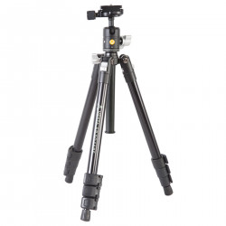 Vanguard Vesta FB 204AB
