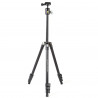 Vanguard Vesta FB 204AB