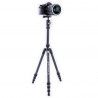 Vanguard Vesta TB 204CB