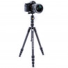 Vanguard Vesta TB 204CB