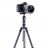 Vanguard Vesta TB 204CB