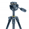 Vanguard Vesta 203AP