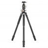 Vanguard VEO 3+ 303CBS