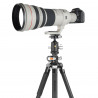 Vanguard VEO 3+ 303CBS