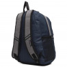 Semi Line 21 Grey/Navy J4499