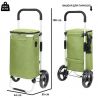 ShoppingCruiser Allround 41 (Green)