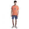 Icebreaker 150 Tech Lite III SS Tee Men Tech Head