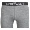 Icebreaker 200 Oasis Leggings Men