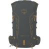 Osprey Talon Velocity 20