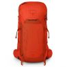 Osprey Talon Pro 30