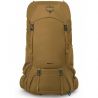Osprey Rook 65