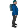 Osprey Daylite Earth