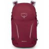 Osprey Hikelite 26