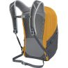 Osprey Quasar 26