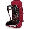 Osprey Talon 33