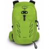 Osprey Talon 22