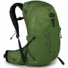 Osprey Talon 22