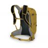 Osprey Syncro 20