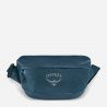 Osprey Transporter Waist