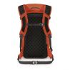 Osprey Skarab 22