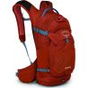 Osprey Raptor 14
