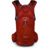 Osprey Raptor 14