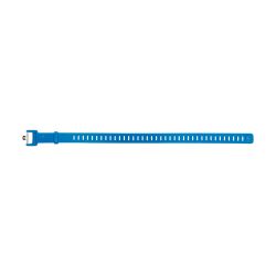 Black Diamond Ski Strap