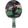 Gewo CS Energy Carbon Pro FL