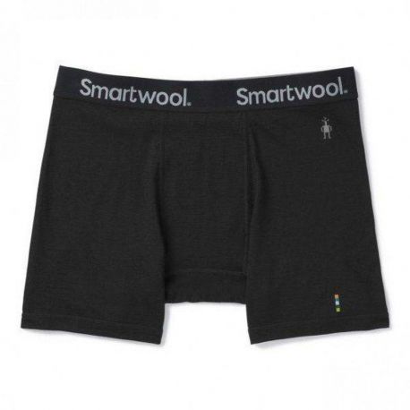 Smartwool Men's Merino Sport 150 Boxer Brief