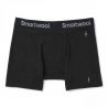 Smartwool Men's Merino Sport 150 Boxer Brief