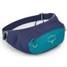 Osprey Daylite Waist