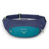 Osprey Daylite Waist