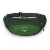 Osprey Daylite Waist