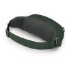 Osprey Daylite Waist