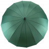 Semi Line Green 2512