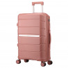 Semi Line Pink T5836