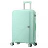 Semi Line Mint T5831