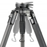 Vanguard Endeavor RL 303CGM