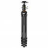 Vanguard VEO 5 304CB-250S