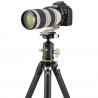 Vanguard VEO 5 304CB-250S
