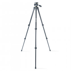 Vanguard Vesta 233AP