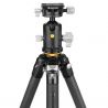 Vanguard VEO 5 304CB-250S
