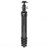 Vanguard VEO 5 304CB-250S