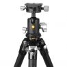 Vanguard VEO 5 264AB-160S