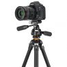 Vanguard VEO 5 234APS-36