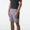 Picture Organic Shooner Stretch Shorts