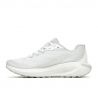 Merrell Morphlite W