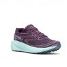 Merrell Morphlite GTX W