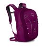 Osprey Axis 18 (Eggplant Purple)